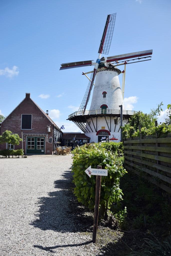 Mühle Zeeland Pannekoekenmolen