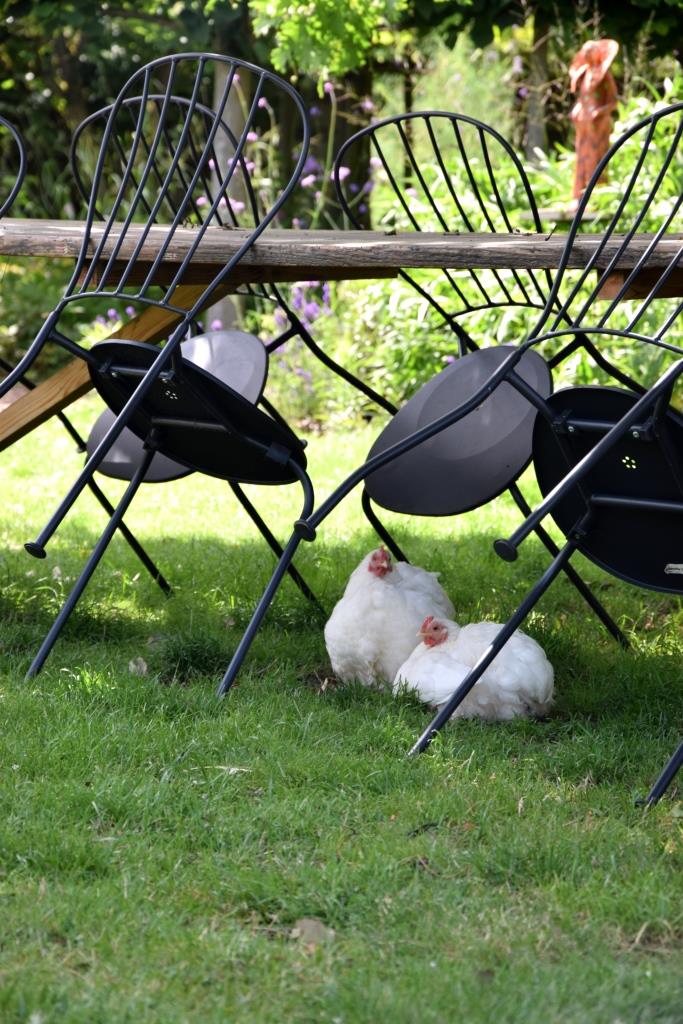 Zeeland Tipps Unterfreunden Blog Het Kaslokaal Oostkapelle (4)