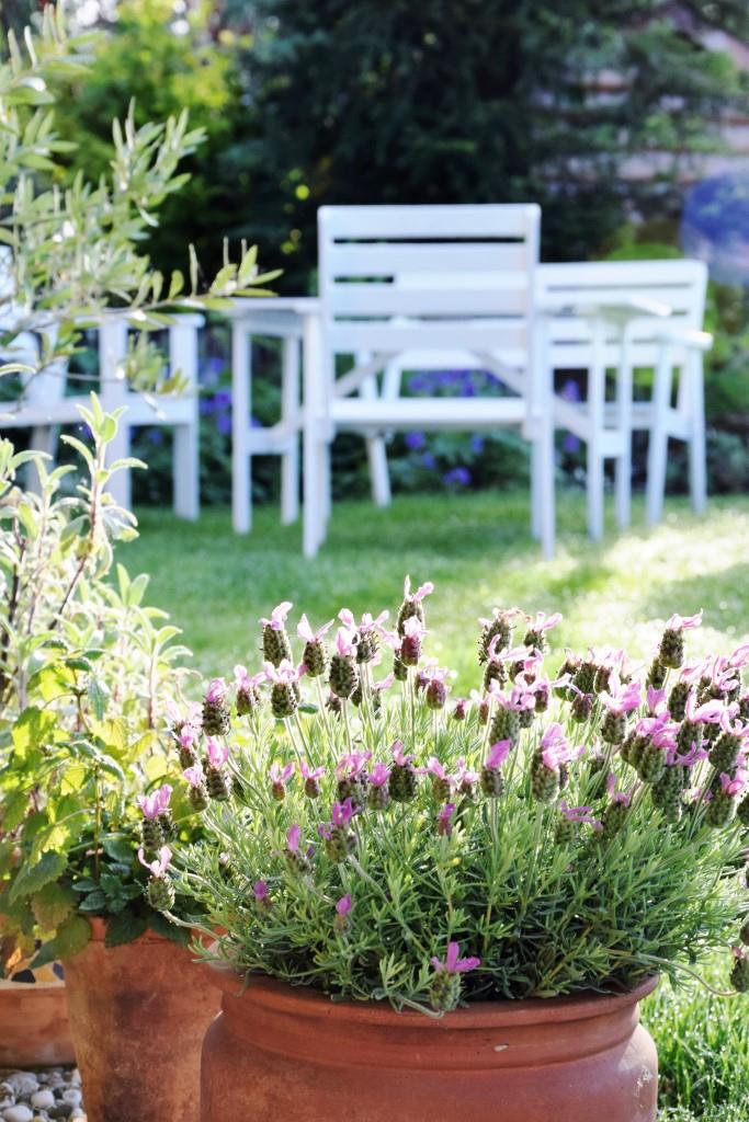 Sommergarten Lavendel Weiße Holzmöbel