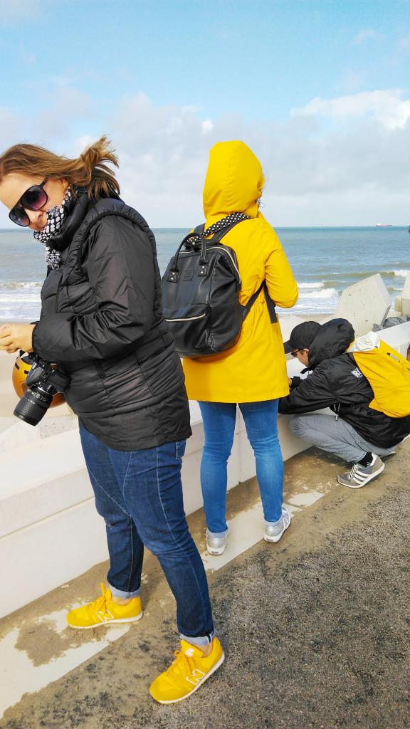 Sturm Nordsee Zeeland