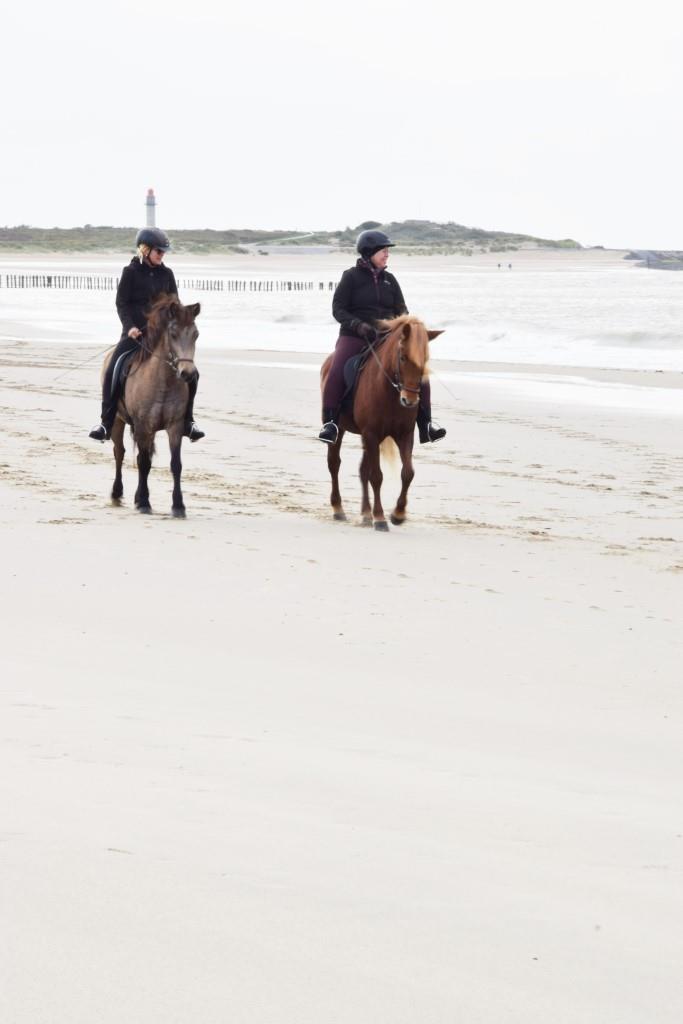 Reiten am Strand Zeeland