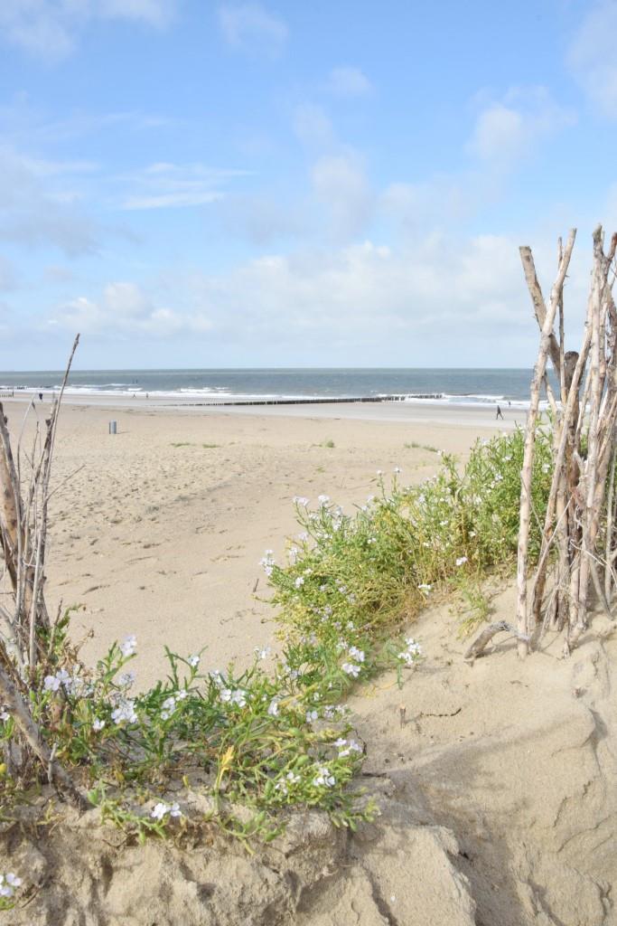Strand Cadzand Zeeland