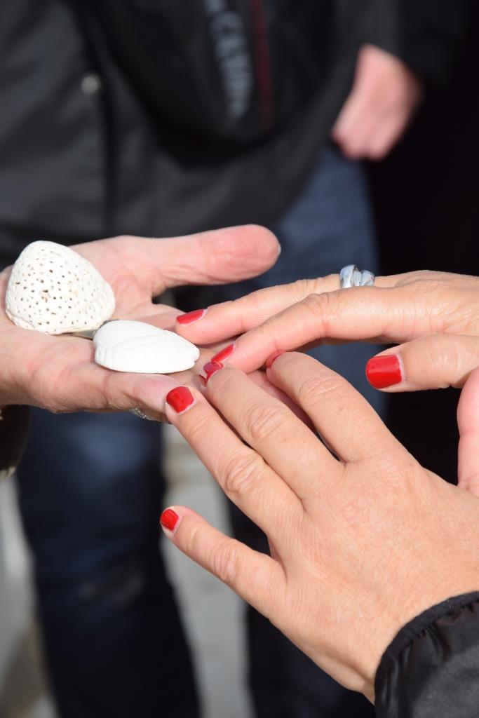 Muscheln Hände Naturschutzgebiet