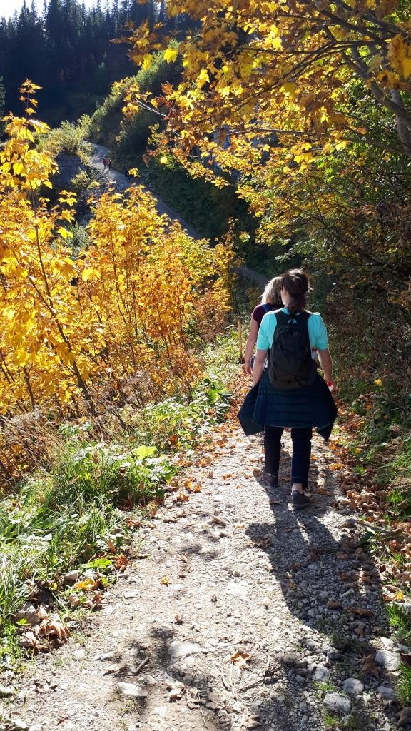 Wandern Herbst Tegernsee