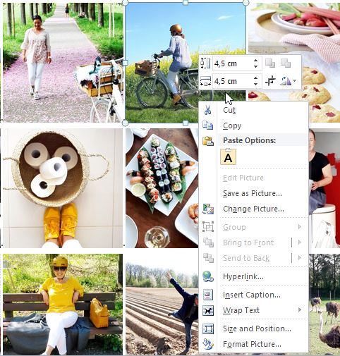Fotos quadratisch zuschneiden