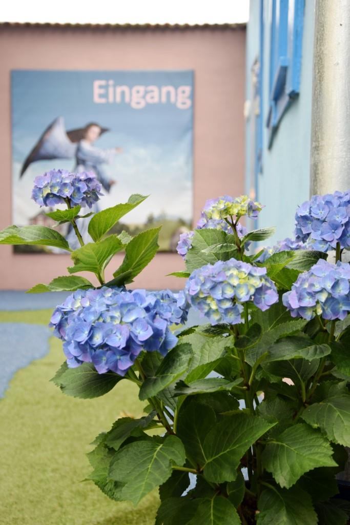Eingang Blau Museum