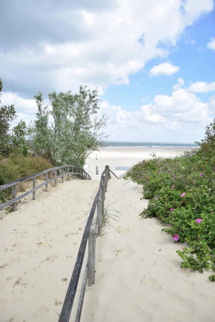 Strand Vrouwenpolder Zeeland