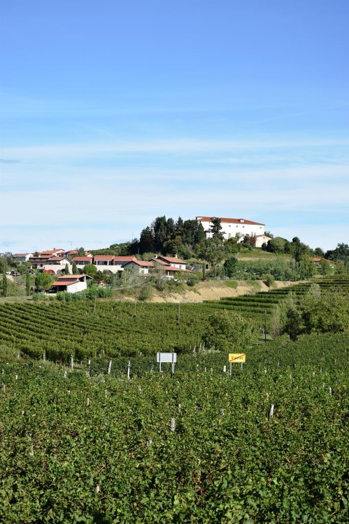 Weinland Brda Slowenien