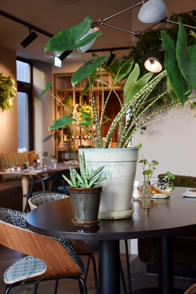 The green room restaurant middelburg