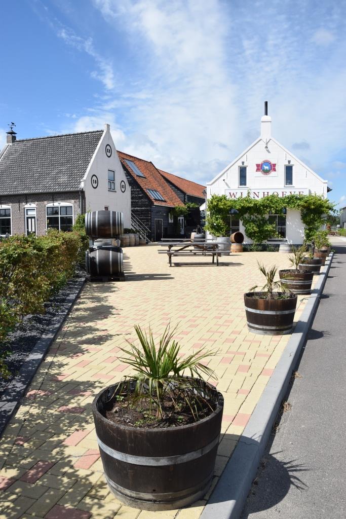 Weingut Zeeland Niederlande