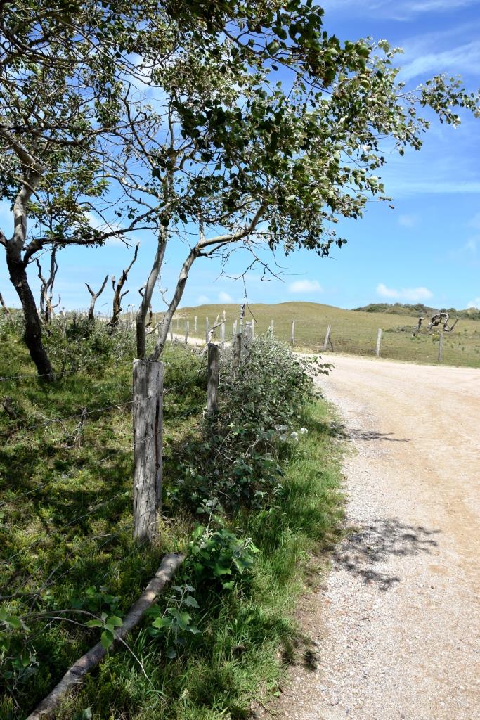 Natur Wandern Zeeland