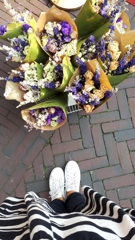 Trockenblumen Markt Middelburg