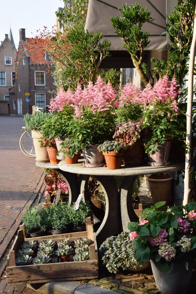 Blumen Middelburg Bloemen