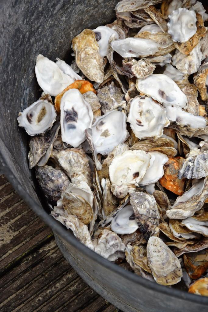 Austern Zeeland Dekoration