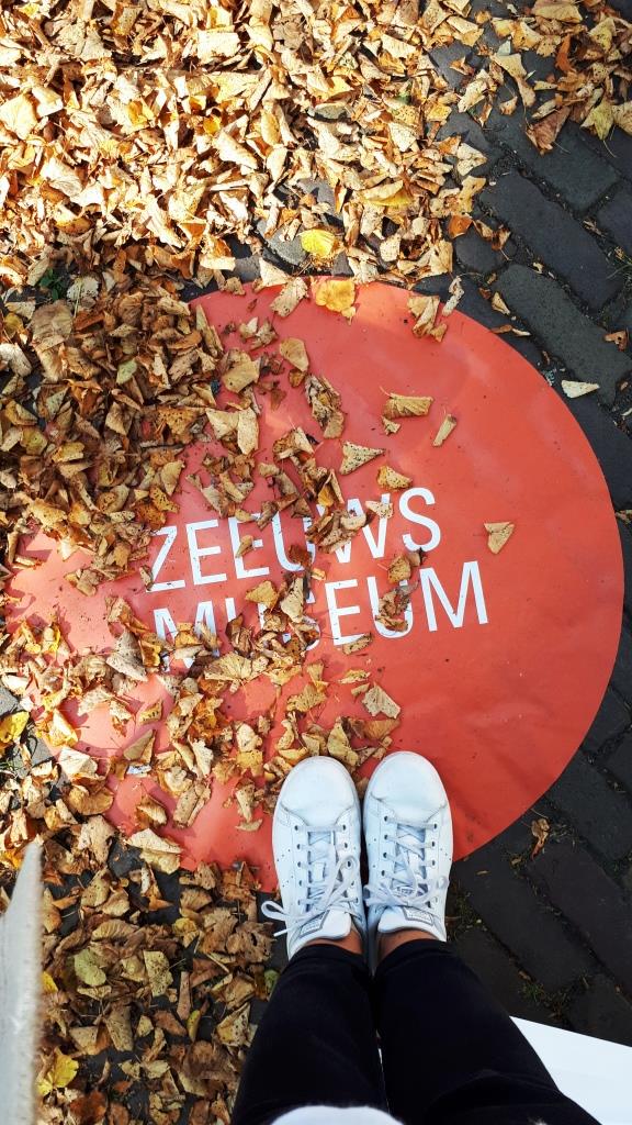 Herbst Blätter Zeeuws Museum