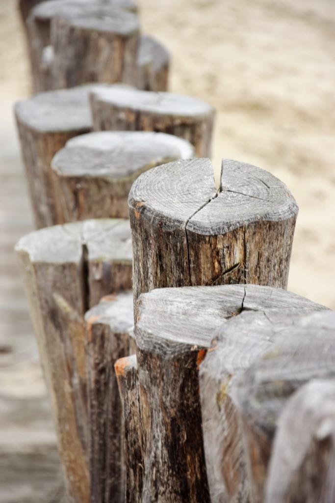 Hölzerne Buhnen am Strand von Zeeland