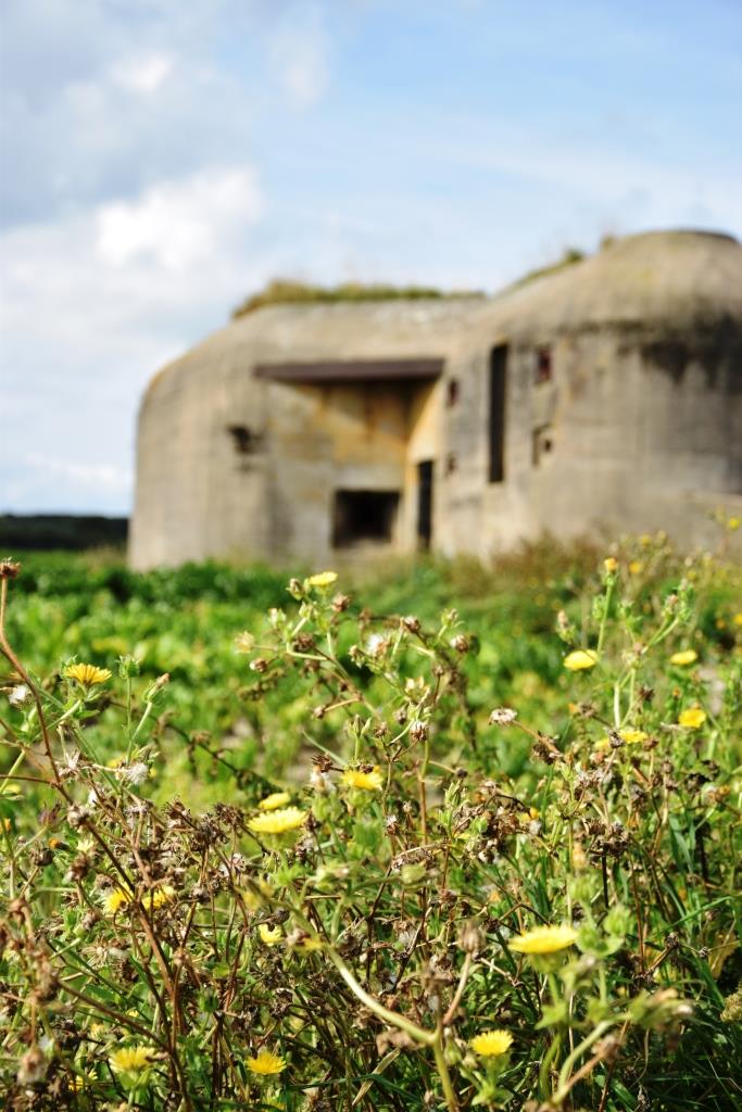 Die Bunker in Zeeland - stille Zeugen einer schlimmen Zeit