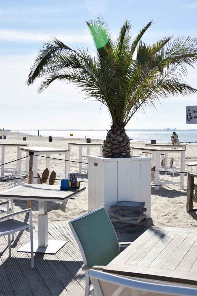 Pier 7 Restaurant am Strand von Vlissingen