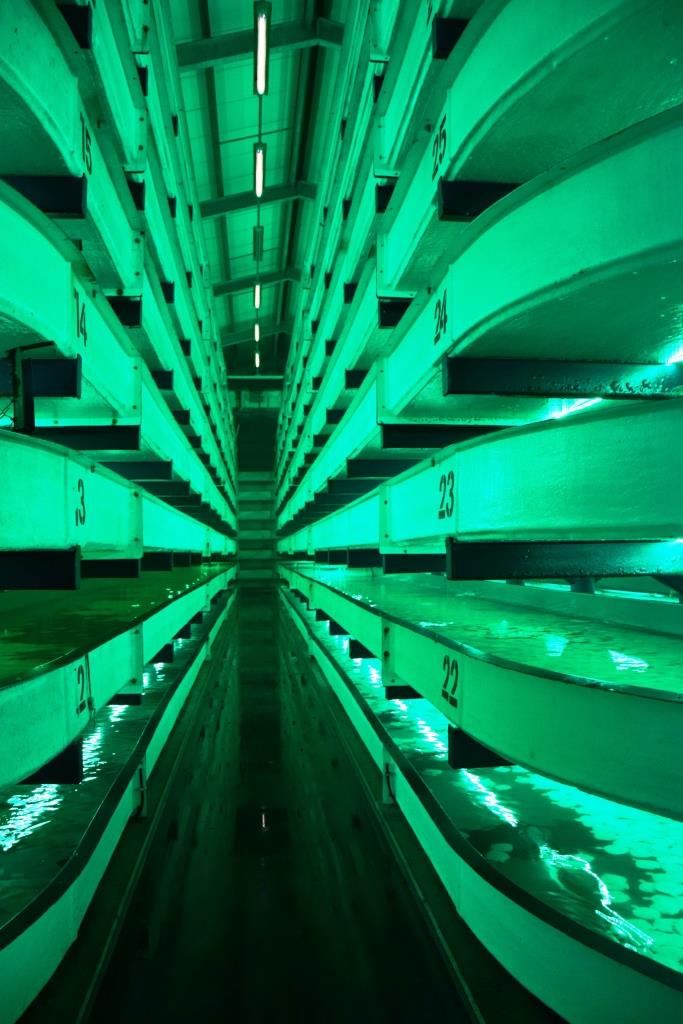 Seafarm Kamperland Zeeland - die große mehrstöckige Fischzucht