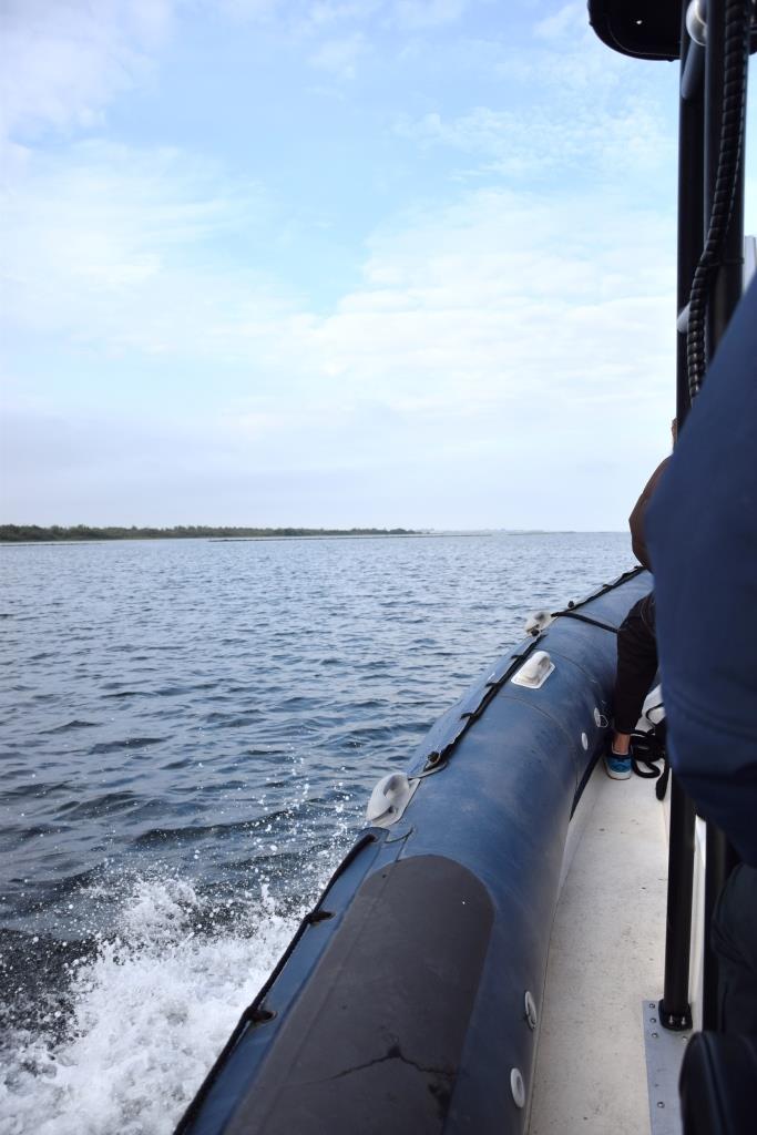 Seehund Safari Brouwersdam 