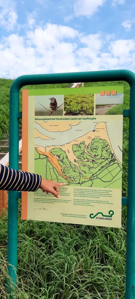 Unterwegs im Süden von Zeeland - im Naturschutzgebiet Verdronken Land van Saeftinghe / Versunkenes Land 