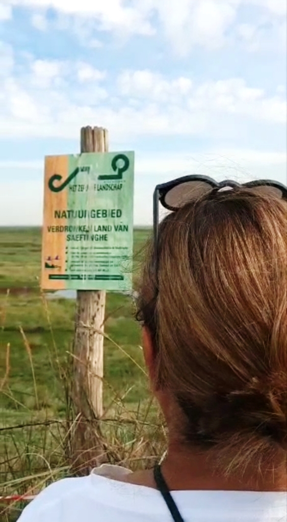 Unterwegs im Süden von Zeeland - im Naturschutzgebiet Verdronken Land van Saeftinghe / Versunkenes Land 