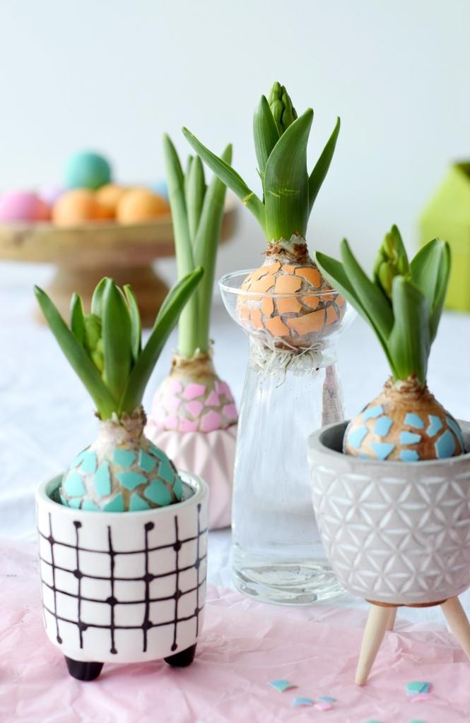 Mosaik-Hyazinthen in den schönsten Frühlingsfarben