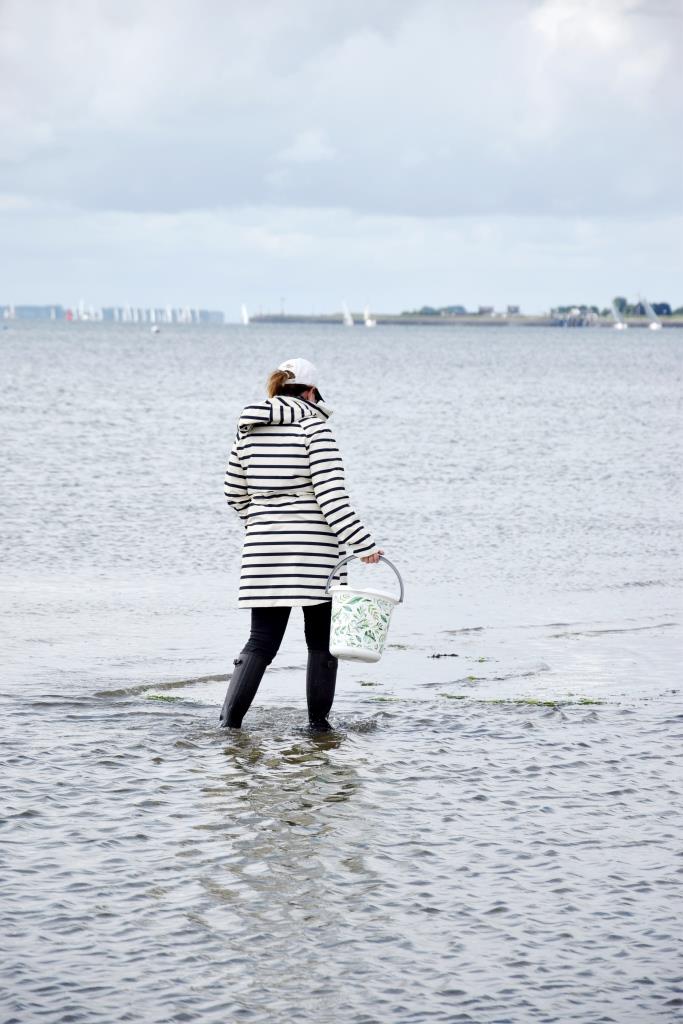 Auf der Suche nach den Austernschalen am Strand von Zeeland