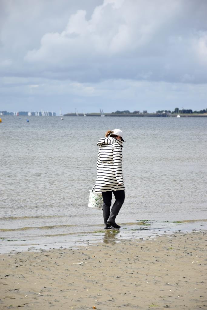 Austern suchen Grevelingenmeer Zeeland