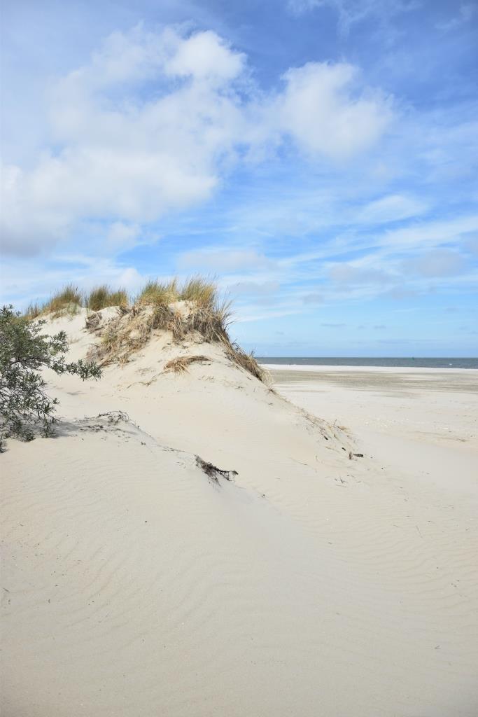 Ein Strand ganz für uns alleine - am Kwade Hoek in Süd-Holland