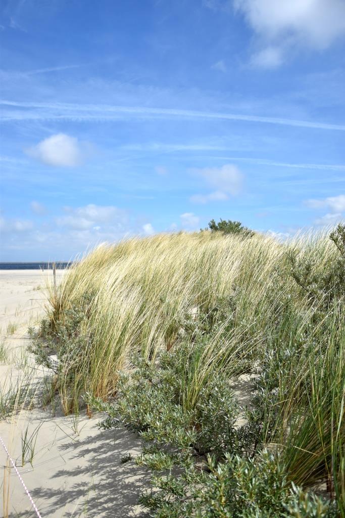 Holland Nederland Kwade Hoek Stranden