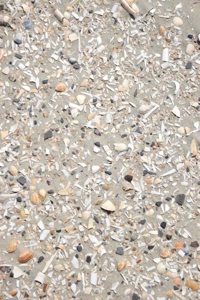 Der schönste Terrazzoboden der Welt ;-)