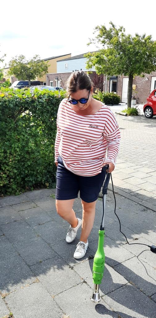 Mein Endgegner - das Unkraut rund ums Ferienhaus!