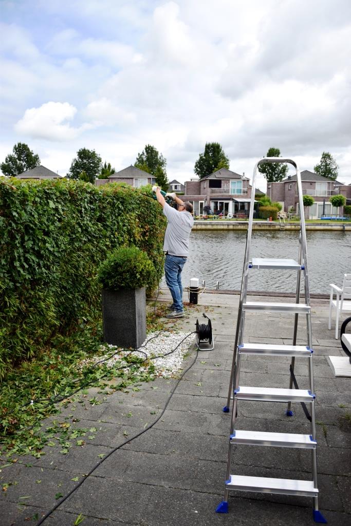 Hecke schneiden gehört dazu als Ferienhaus Besitzer