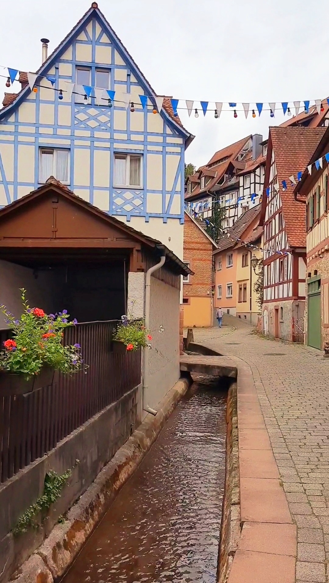 12 von 12 im August - Weinheim im Gerberbachviertel