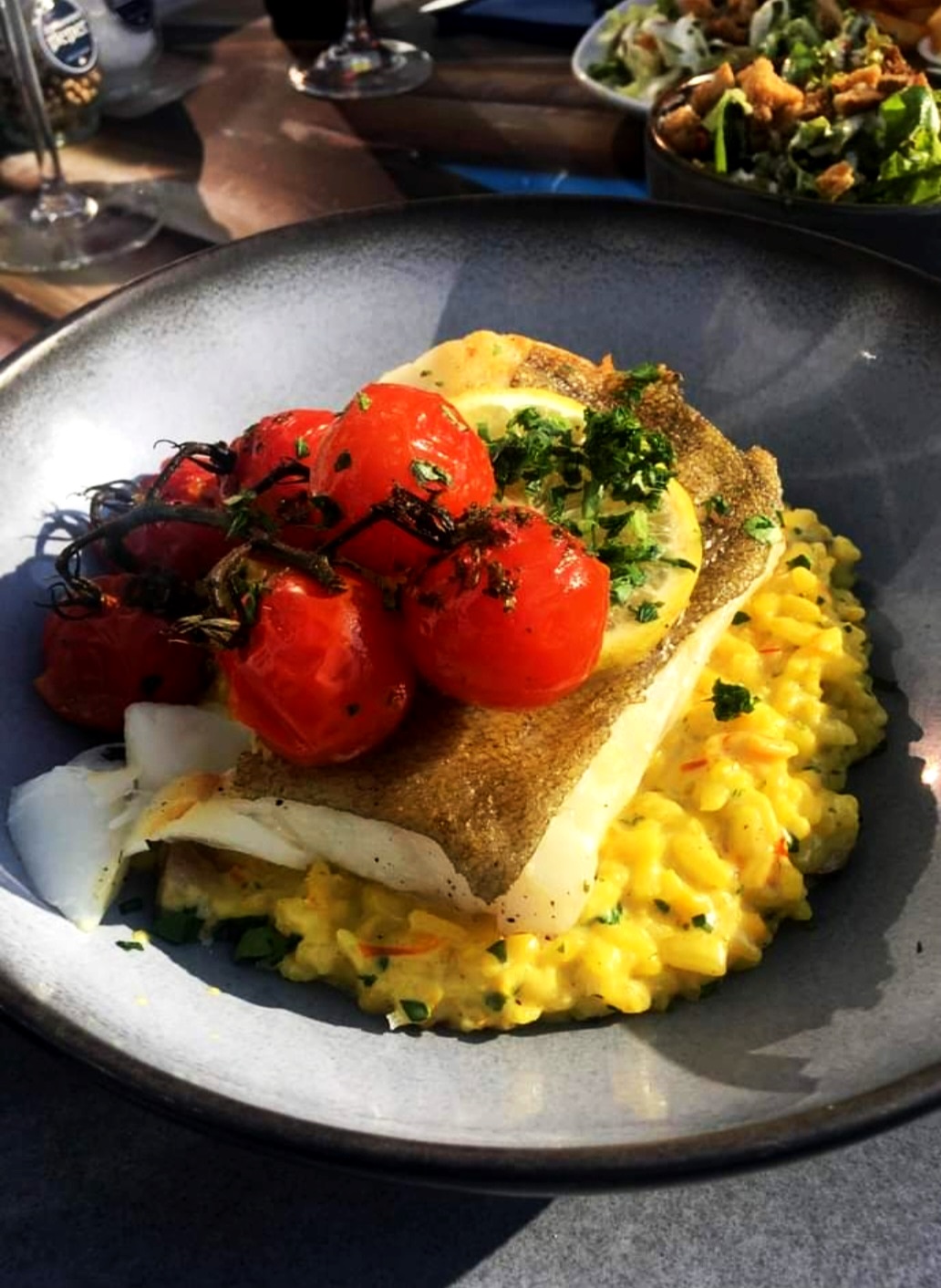 Safranrisotto mit Zander im Fischrestaurant BRU17 Bruinisse Zeeland