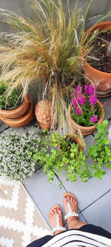 Terrasse Balkon Update - 12 von 12 - Juli 2024