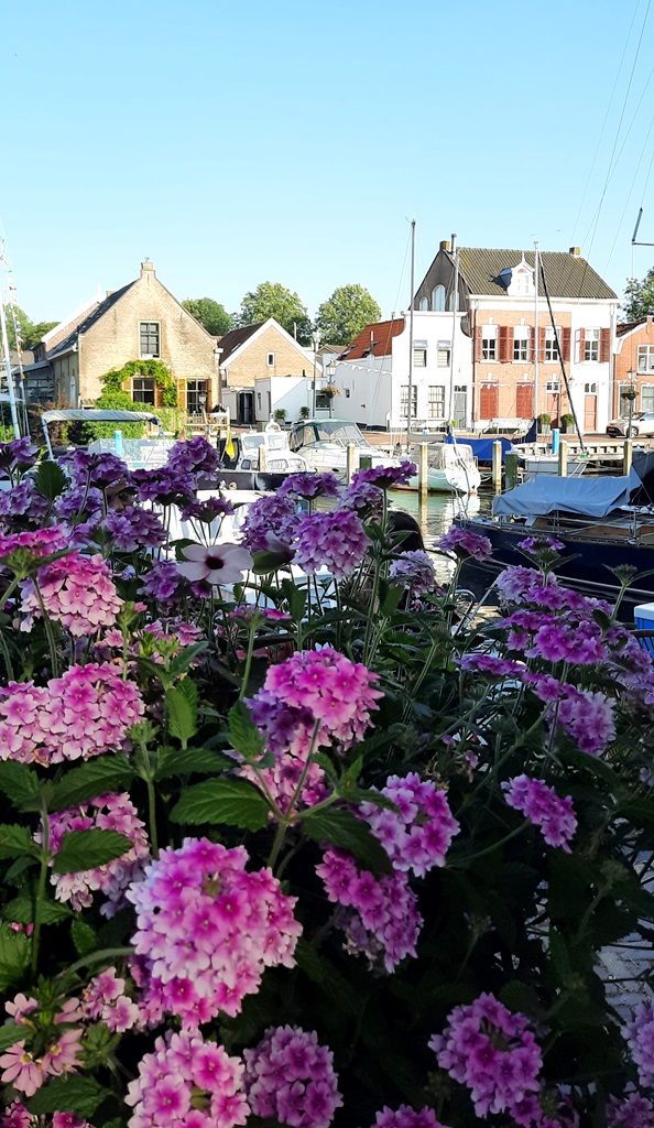 Ein Blumenmeer im Hafen von Middelharnis Holland