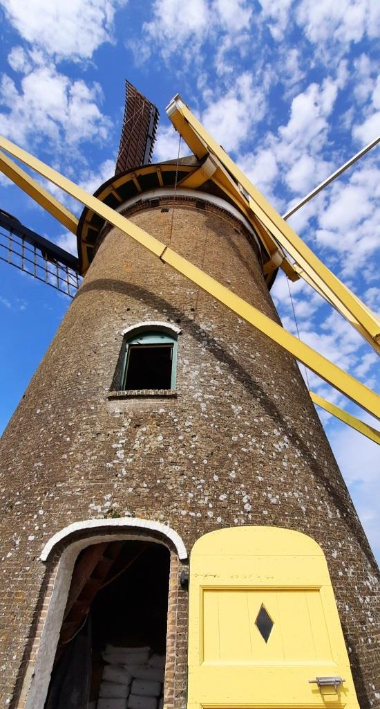 Molen D'arke Ooostkapelle Mühle Zeeland