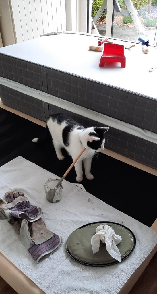 Neue Wandfarbe fürs Hollandhäuschen