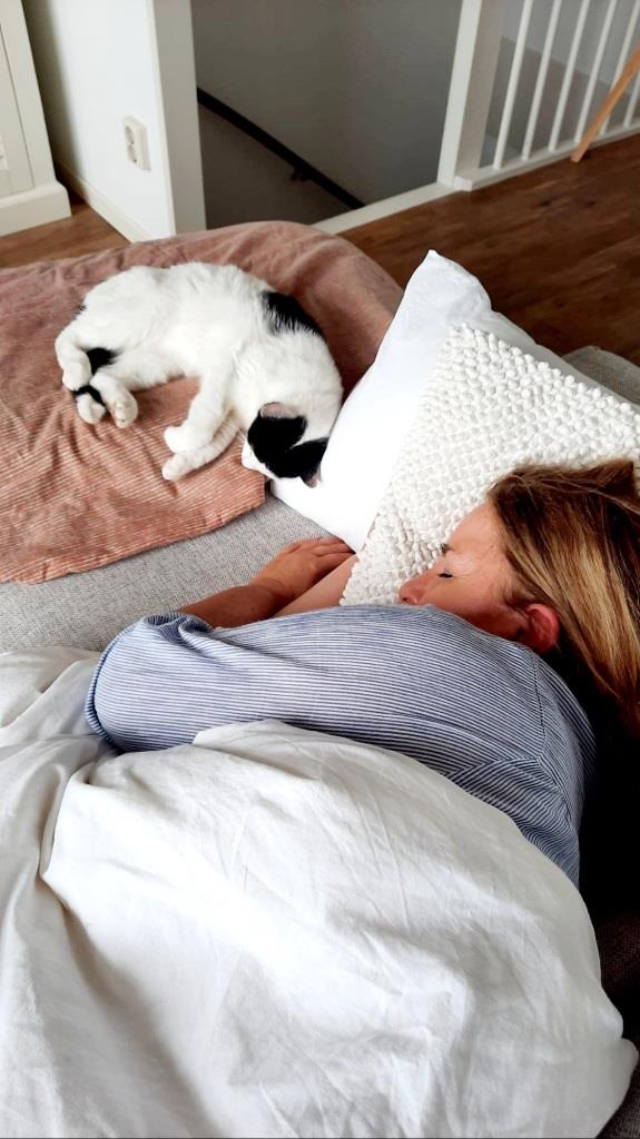 Doppelte Siesta - Mittagsschläfchen mit Katze