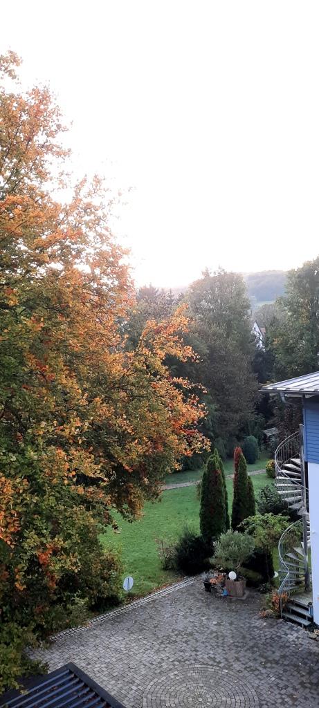 Aussicht am Morgen auf das bunte Herbstlaub
