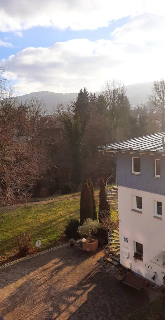 12von12 Januar 2025 Unterfreundenblog - Aussicht Odenwald sonnig