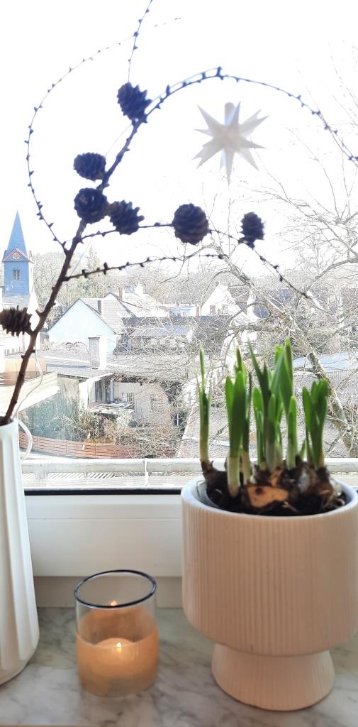 12von12 Januar 2025 Unterfreundenblog Frühblüher-Deko auf der Fensterbank