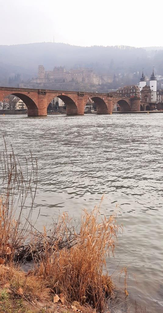 Heidelberg Alte Brücke und Schloss