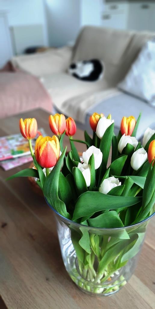 Strauß Tulpen in einer Glasvase