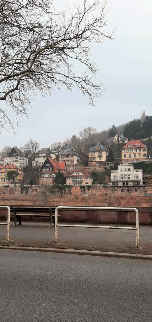 Blick auf Neuenheim Heidelberg - 12von12 im März 2025 - Unterfreundenblog
