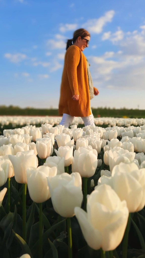 Frau in gelber Strickjacke in weißem Tulpenfeld