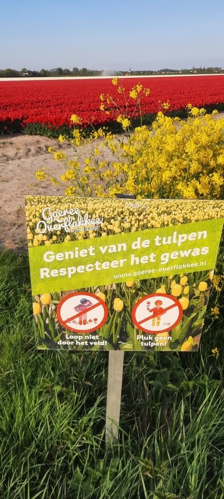 Tulpen genießen und respektieren - bitte nicht in die Felder gehen oder Tulpen pflücken