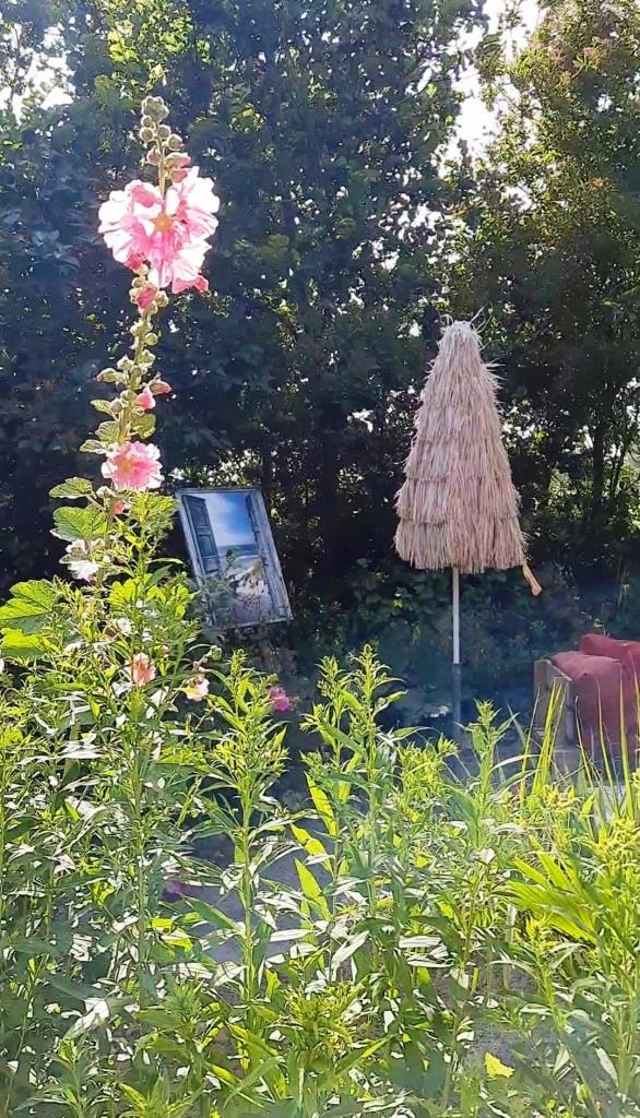 Theetuin Stokroos - traumhaftes Gartencafé in Zeeland